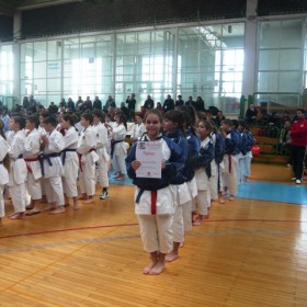 Bushido kup 2012