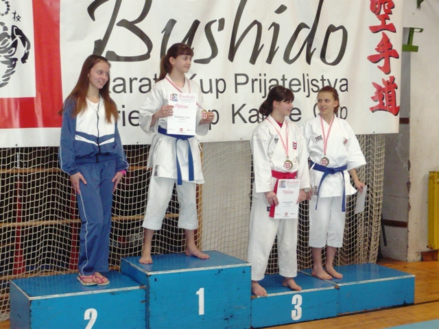Iz galerije: Bushido kup 2012